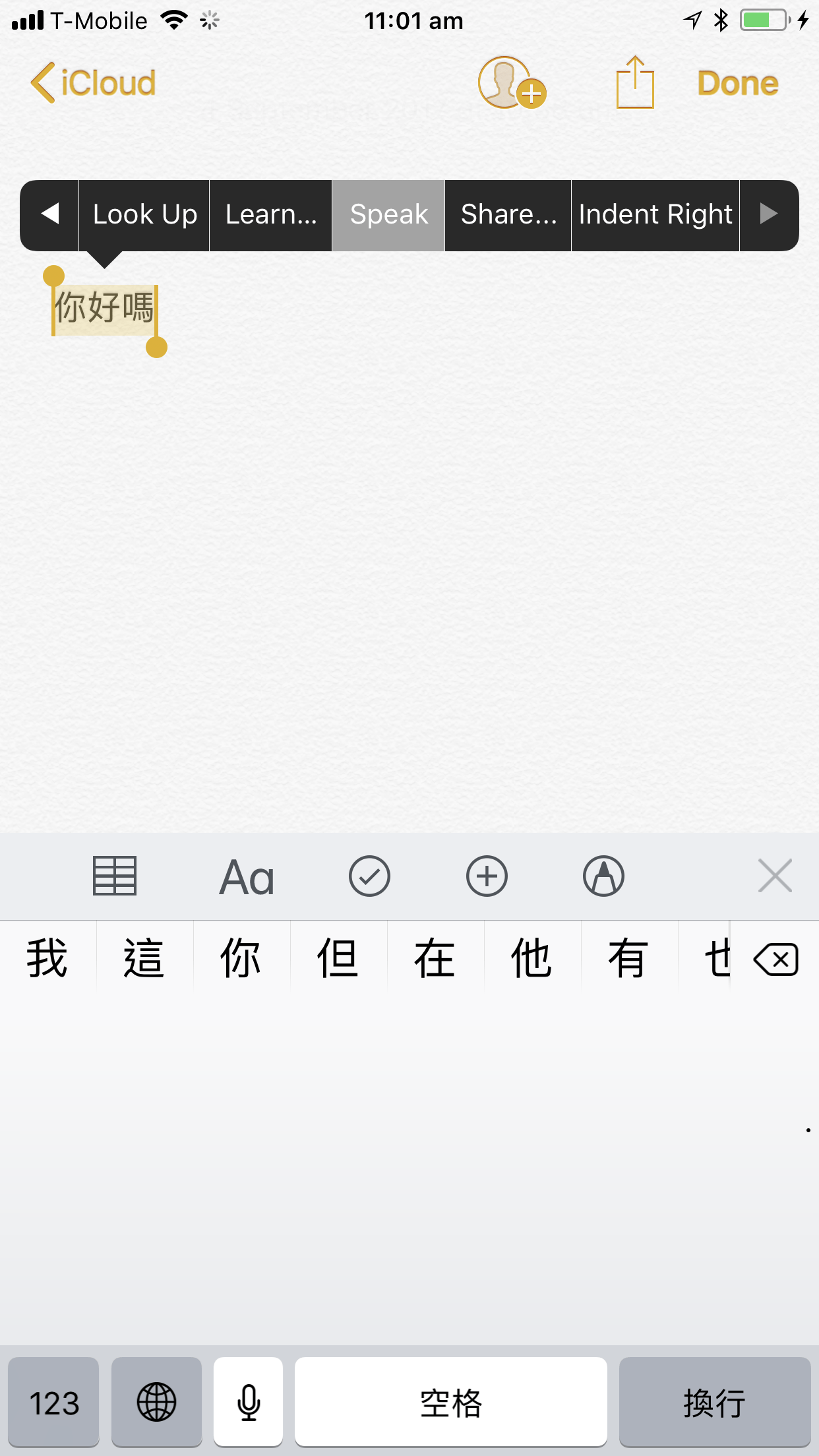 iOS Speak Option for Chinese Cantonese text